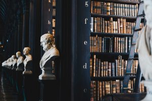 Abogados especialistas